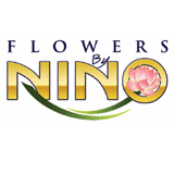 Designs By Nino LLC